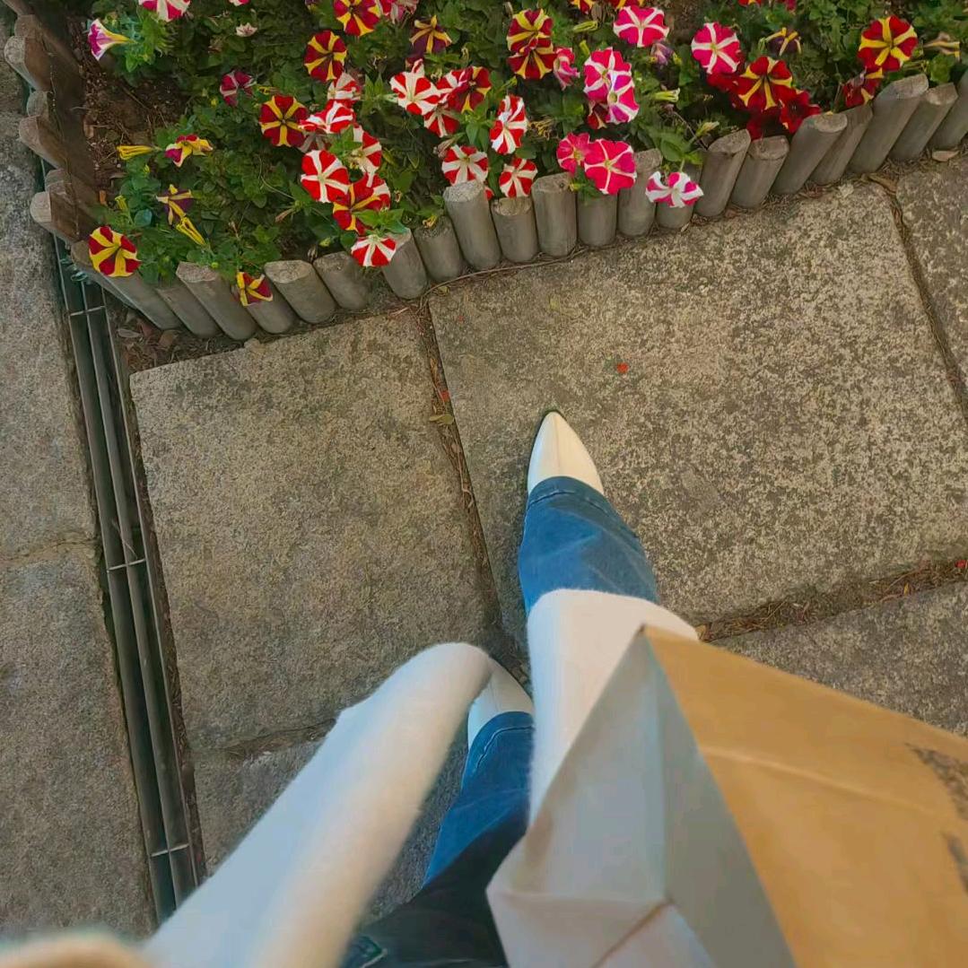 随风起