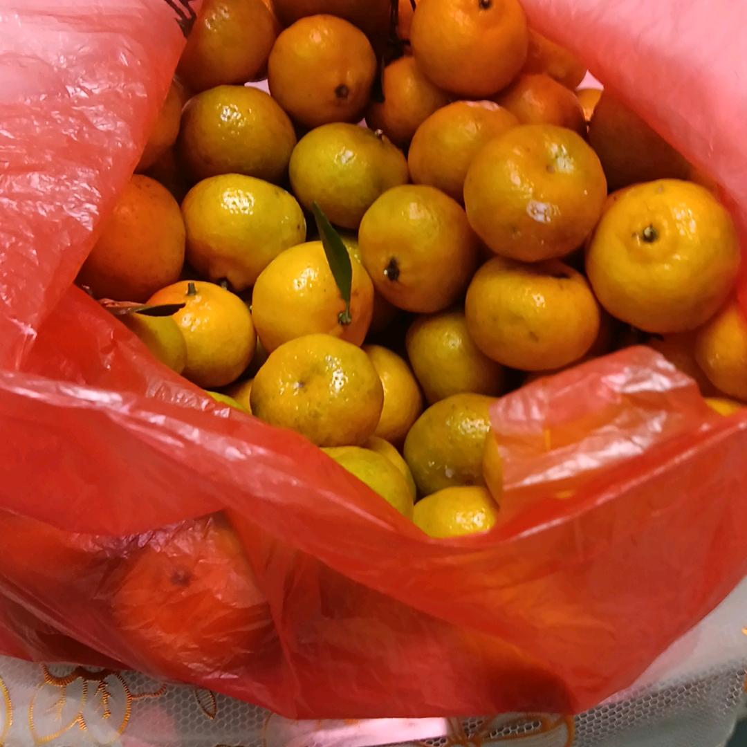 🌈🌈🌈🌈🌈毒玫瑰