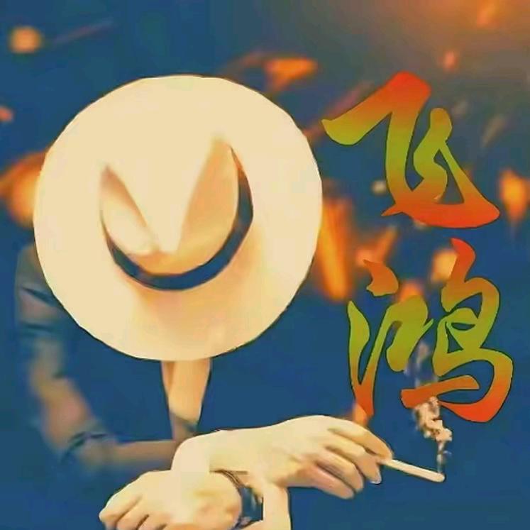 飞鸿追剧