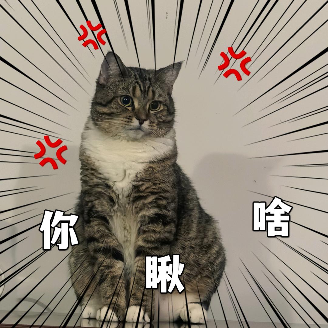 旬沐🖤ᵐᶜ࿐ᩚ