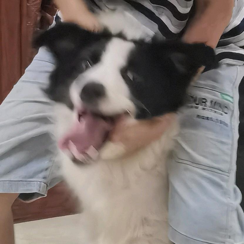 ？