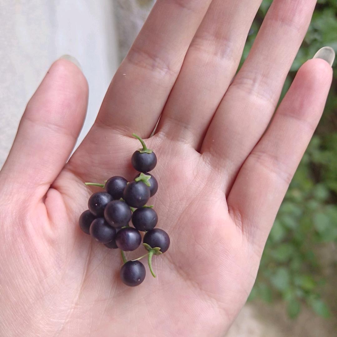 靠谱。-（穿搭分享）