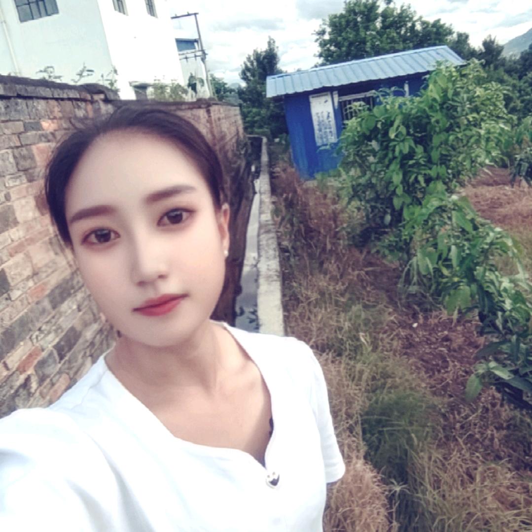 ✨金穗摇风🌾✨