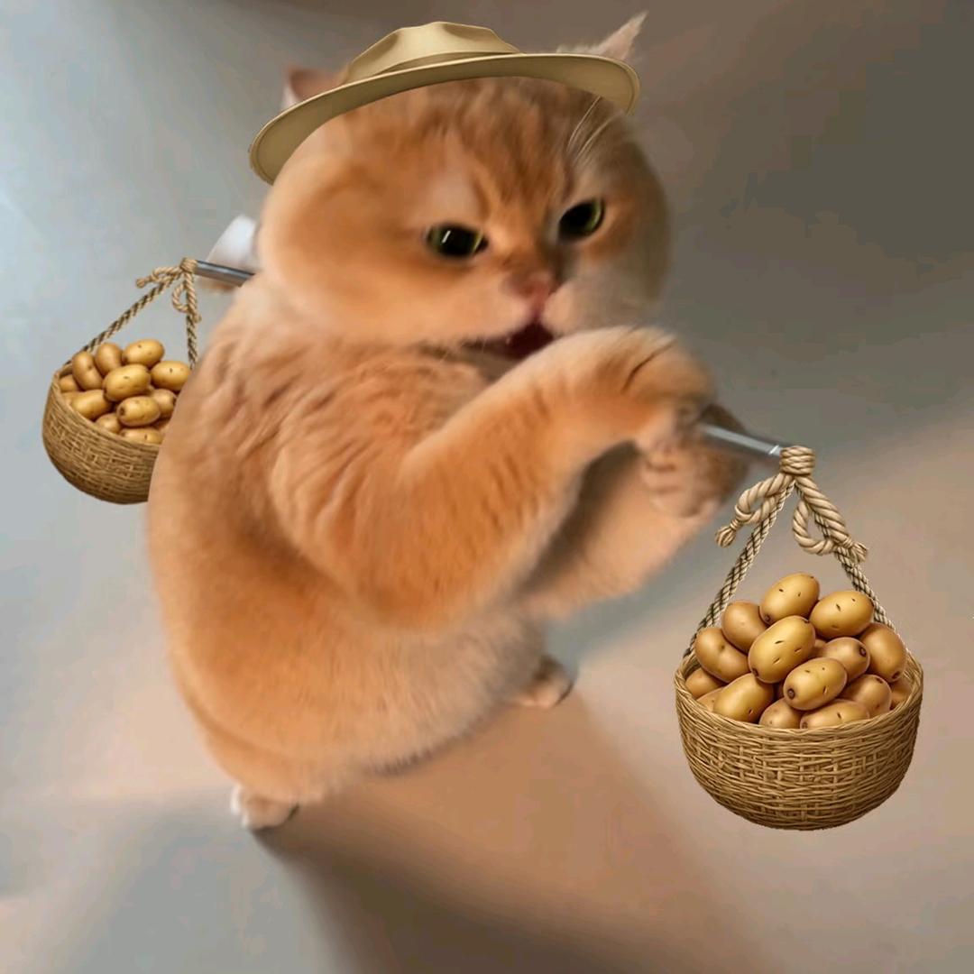 鲸