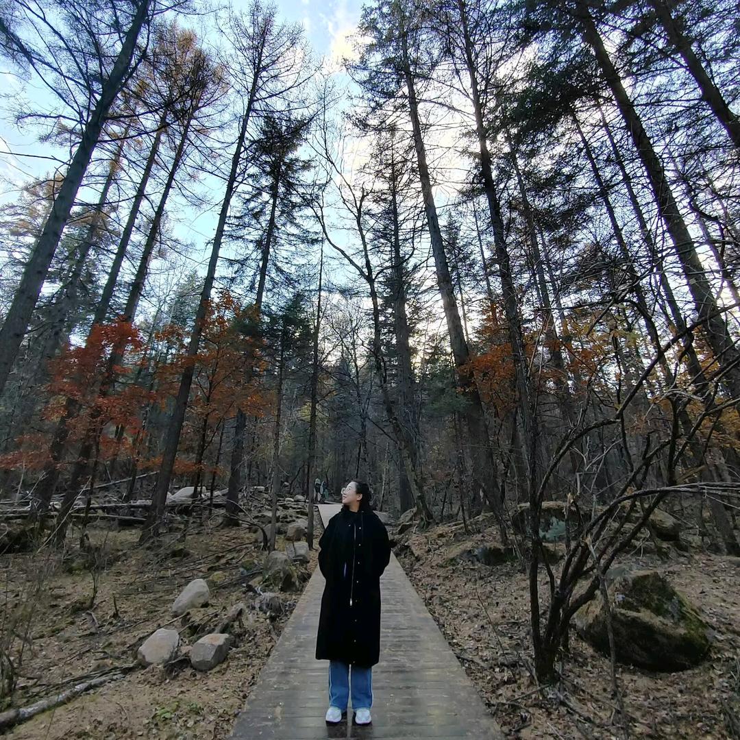 👄李府三小姐👄