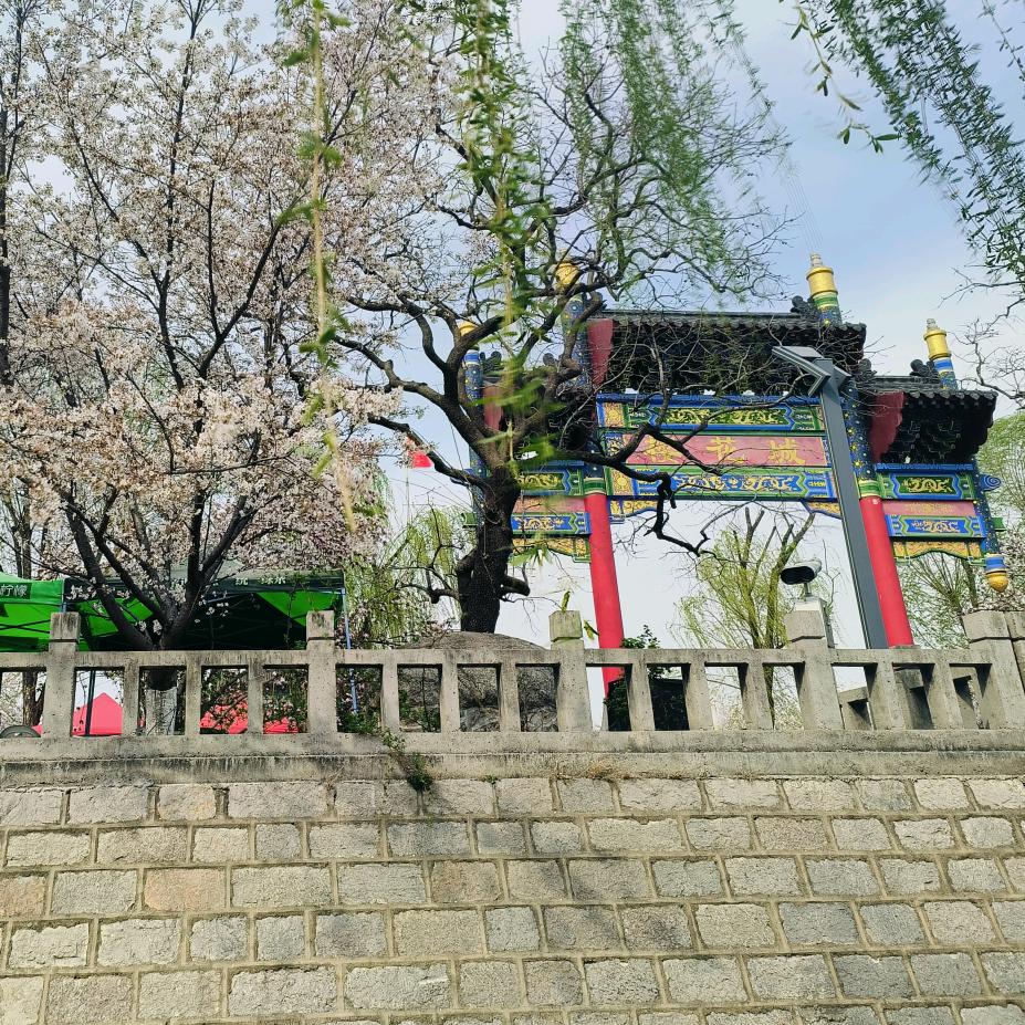 东南西北中