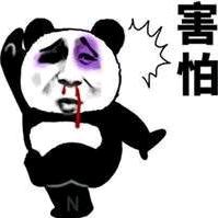 奶酪果冻