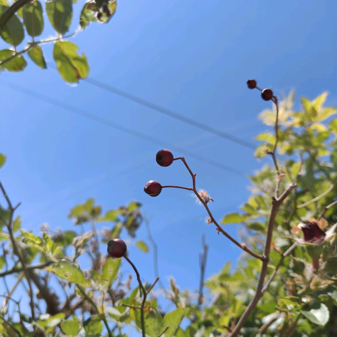 江河湖海，日月星辰。
