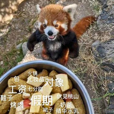吃喝玩乐
