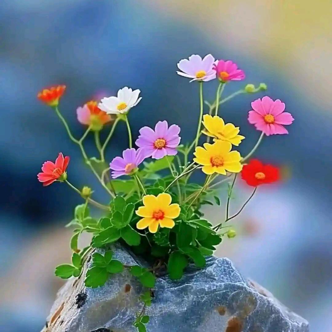 💐