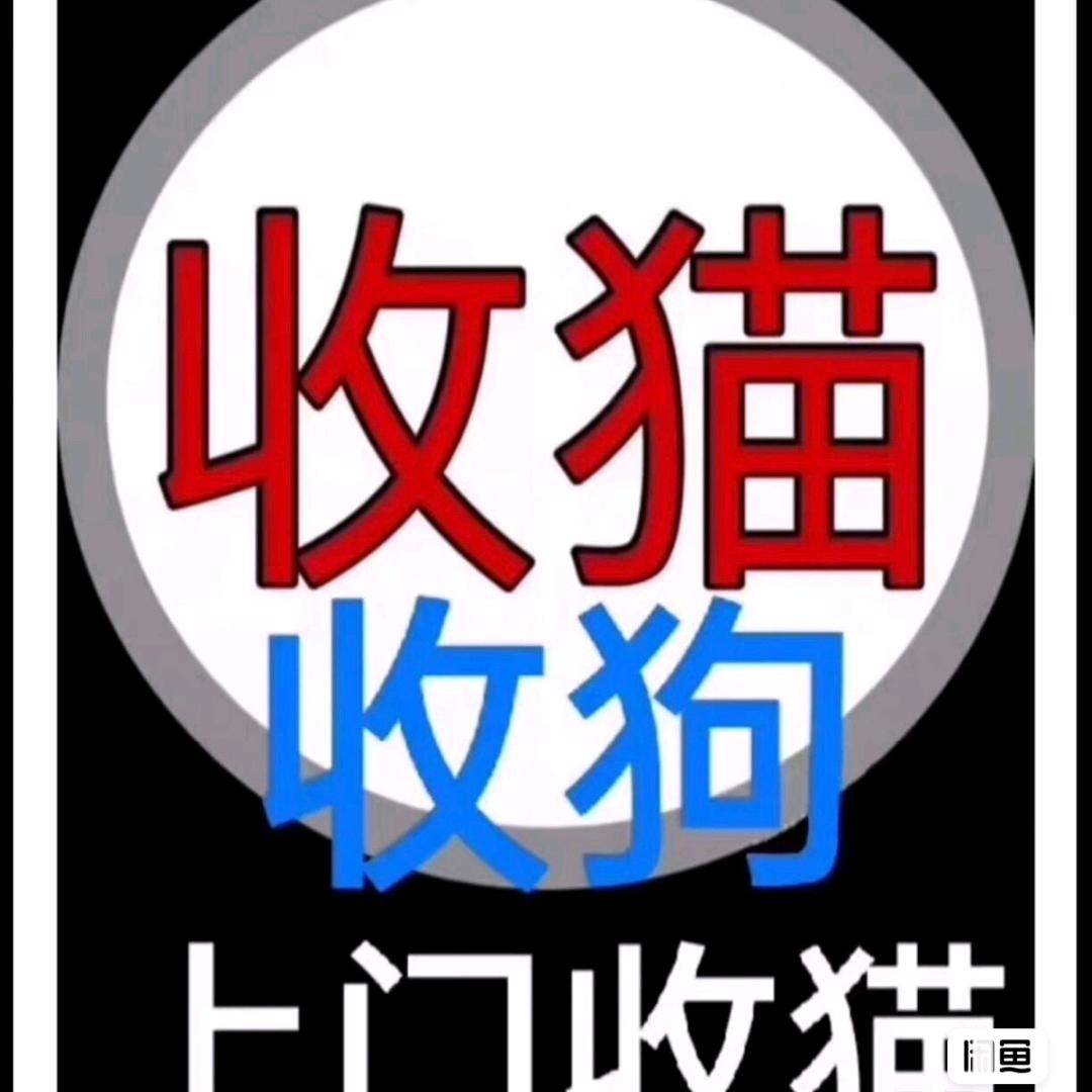 宠物救助