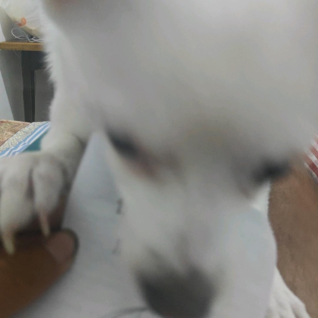 除臭剂