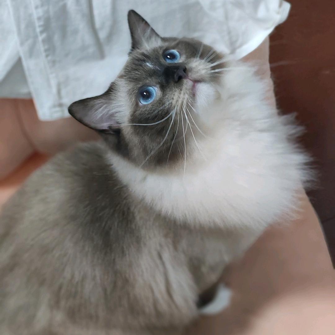 每天睡醒还是你