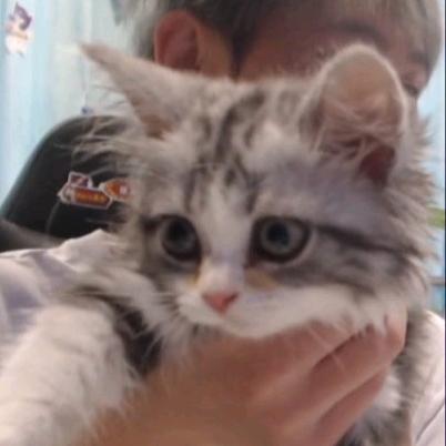 出门想走下水道