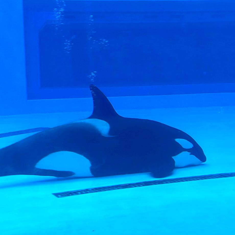 开心就好(◍•ᴗ•◍)