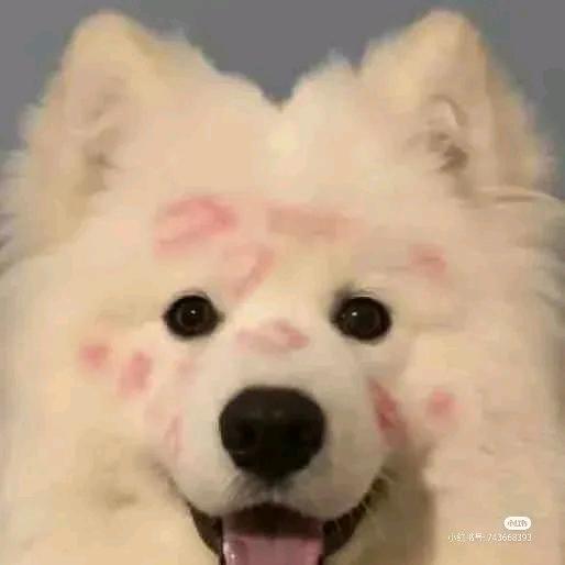 小丸