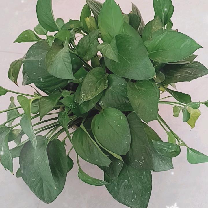 心灰意冷