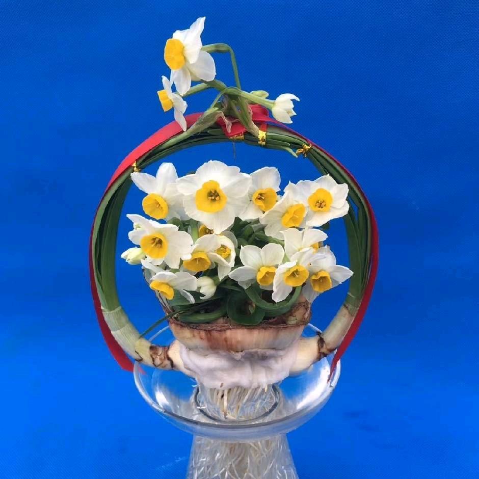 花漫奢凌波仙子2号店