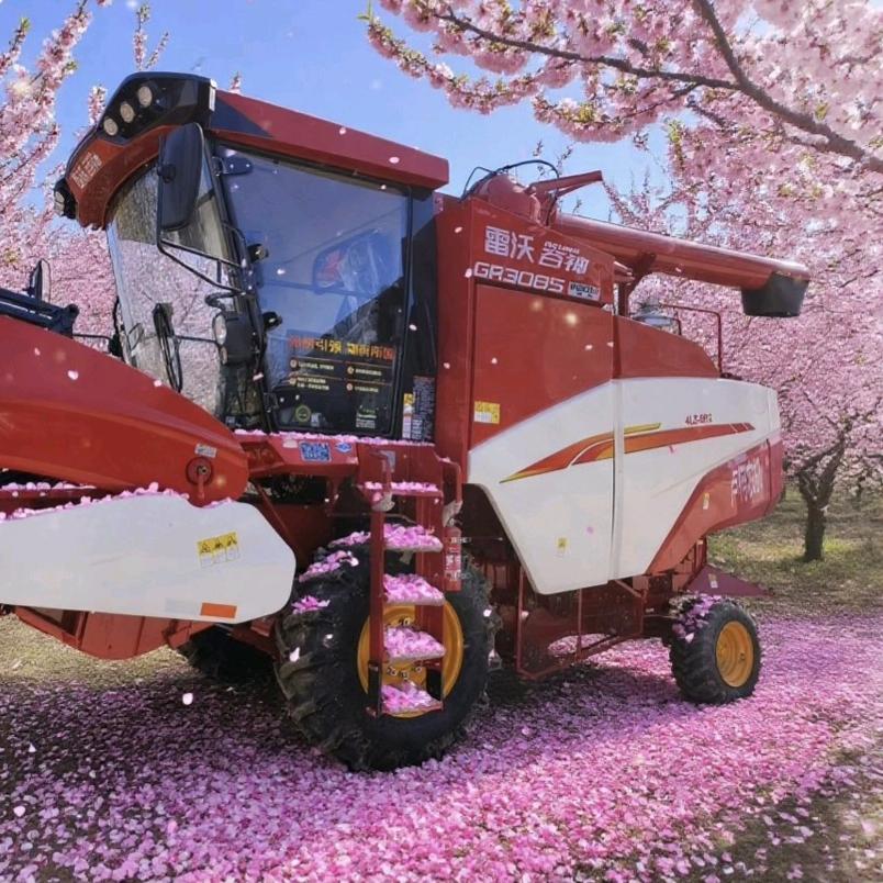 零零后小伙开农机🚜