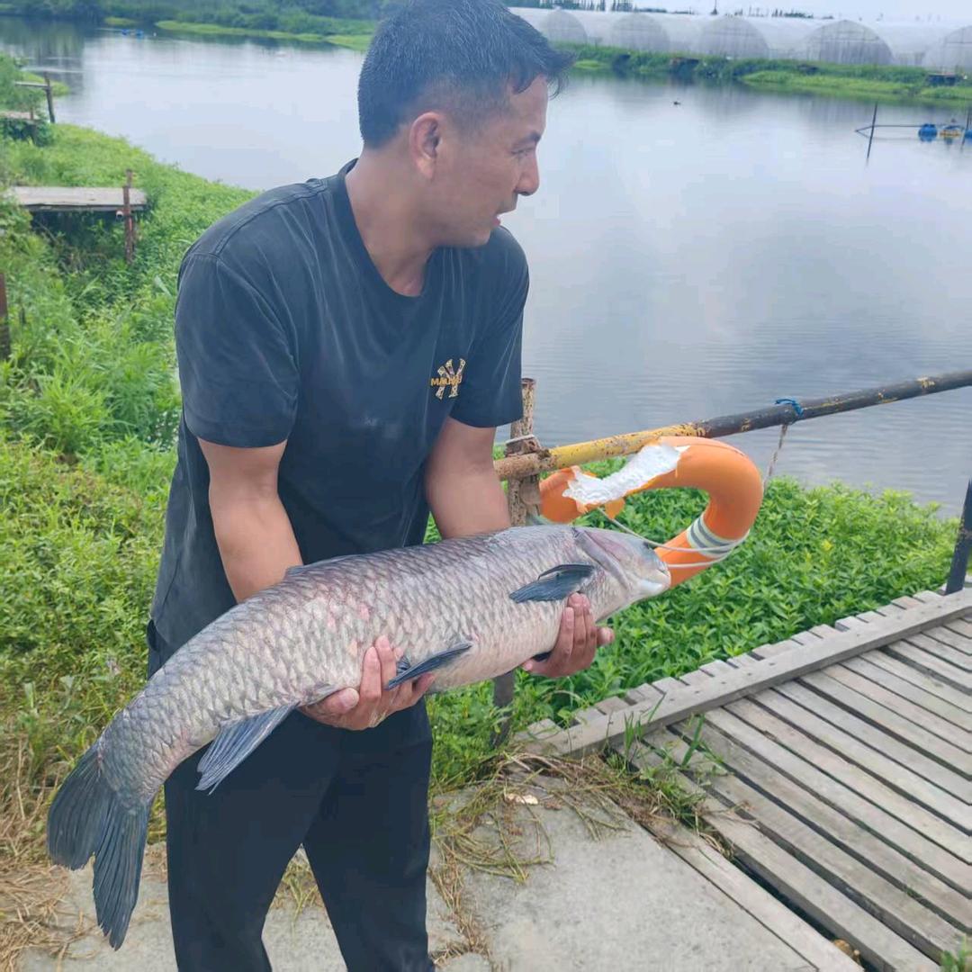 开着半挂去钓鱼