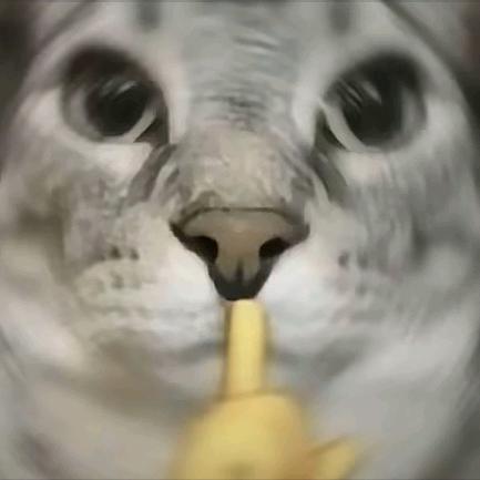 呵呵