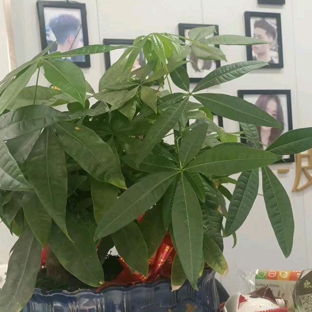 方辉