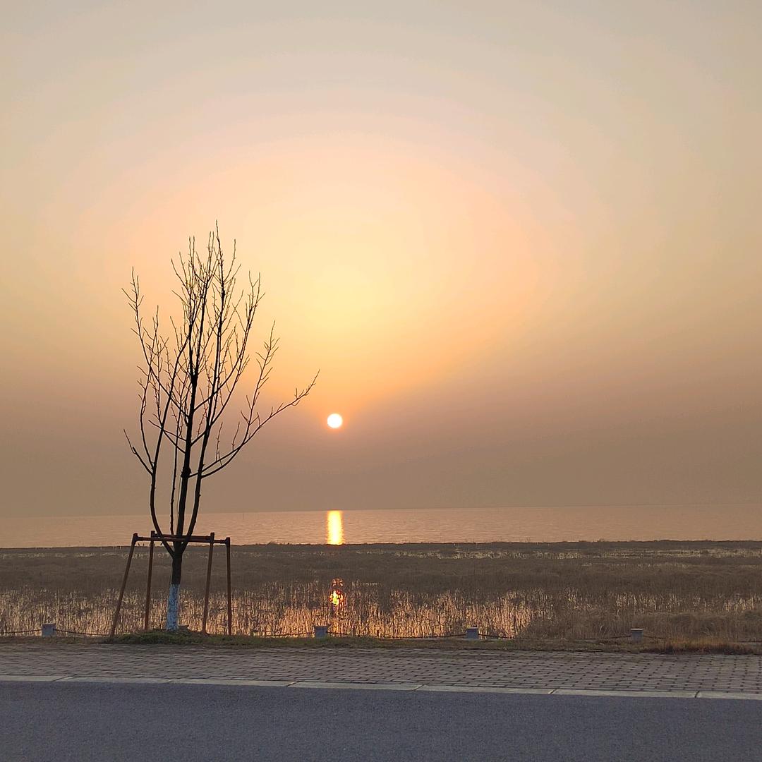 涛涛不爵
