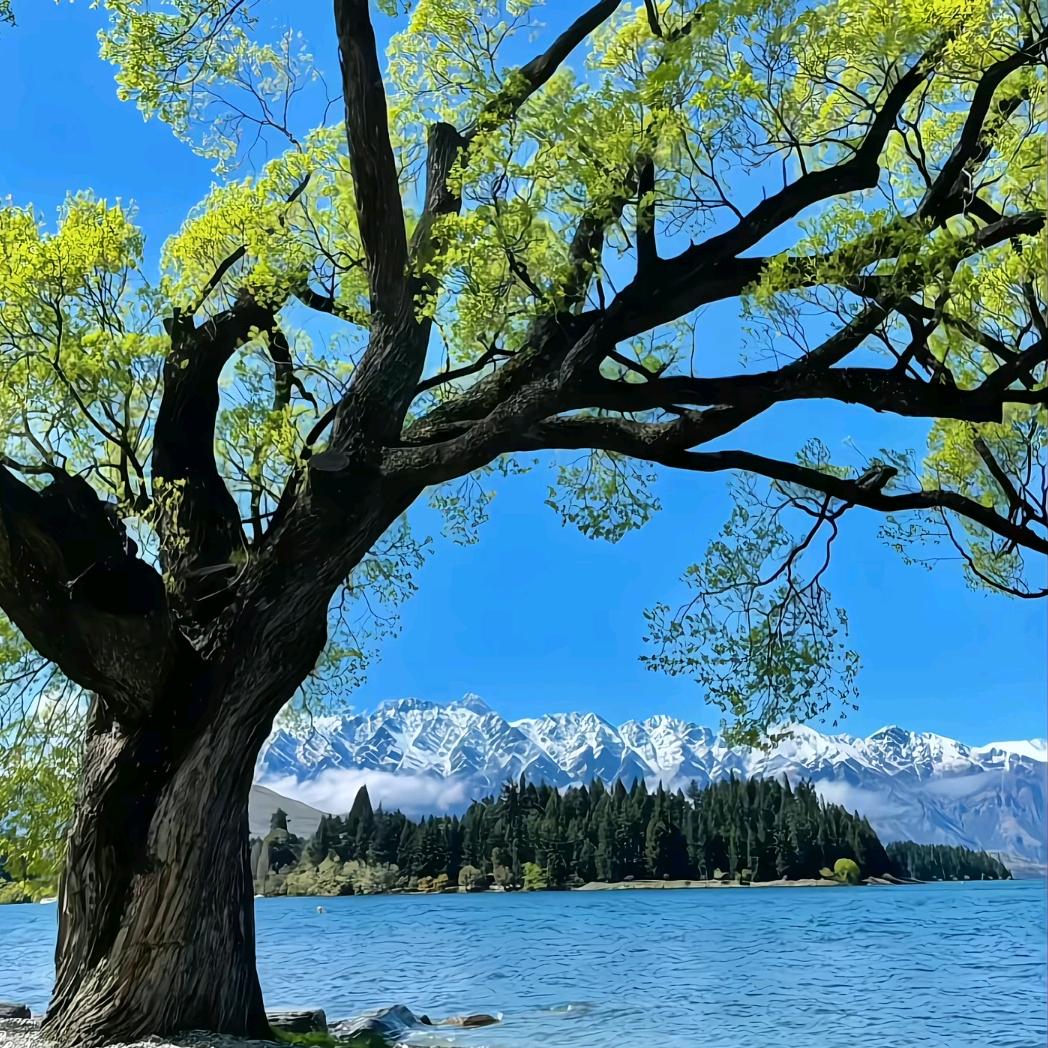 球场岳云鹏(减肥中)