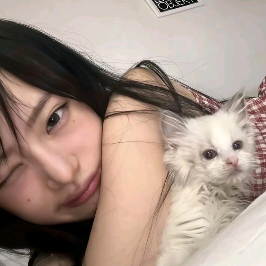 kk💤