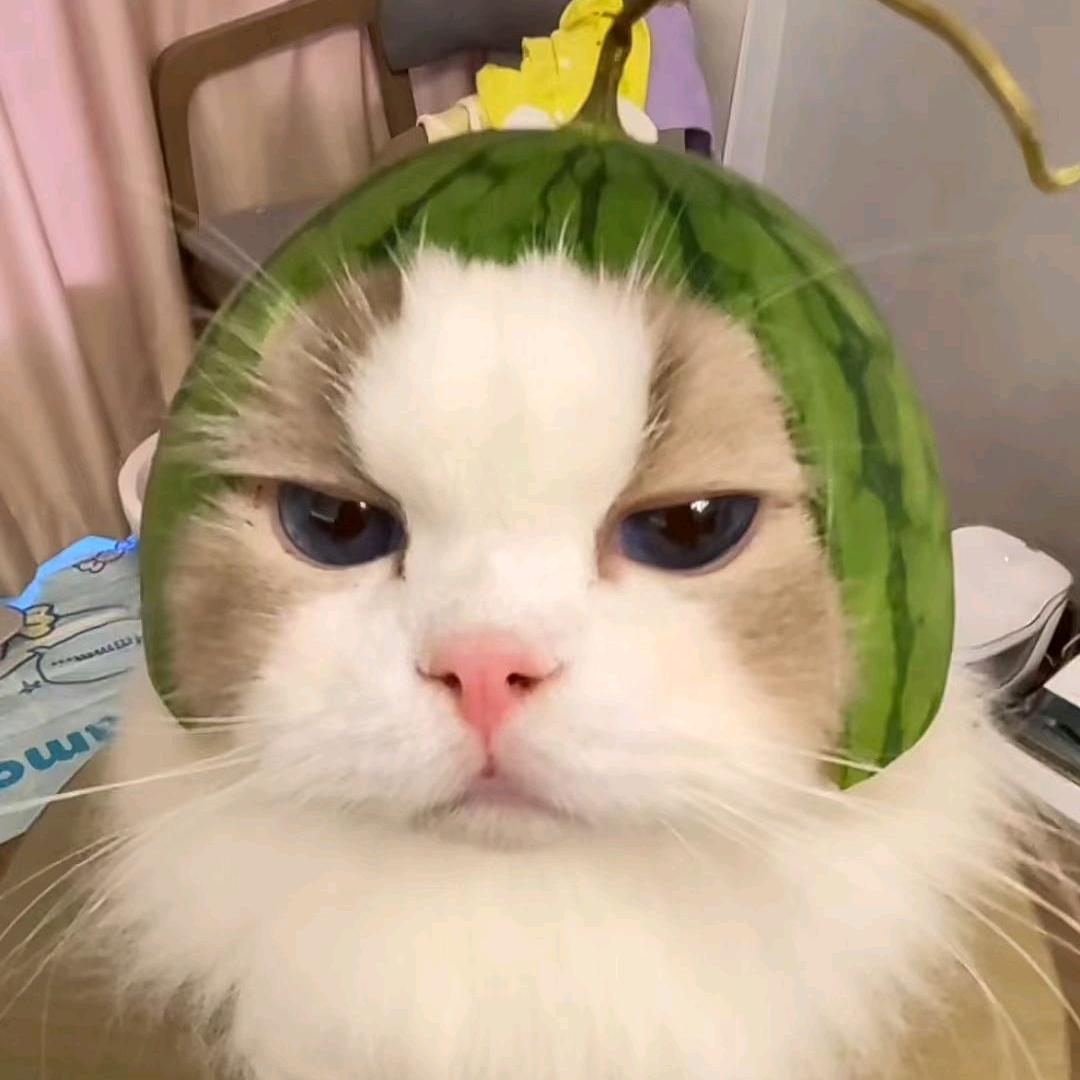 心疼男人倒霉一辈子.