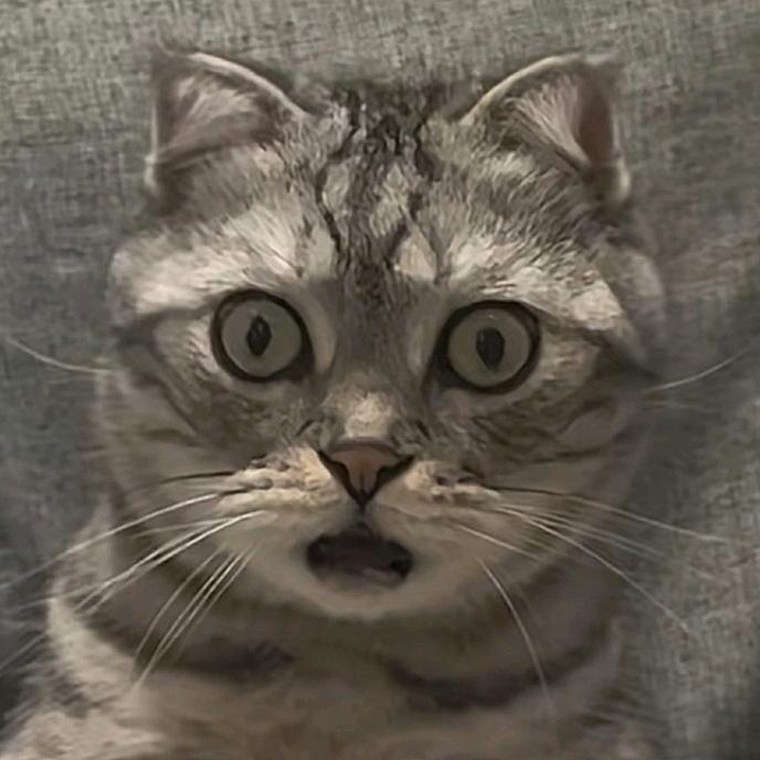 咸鱼翻身之双面咸鱼♈