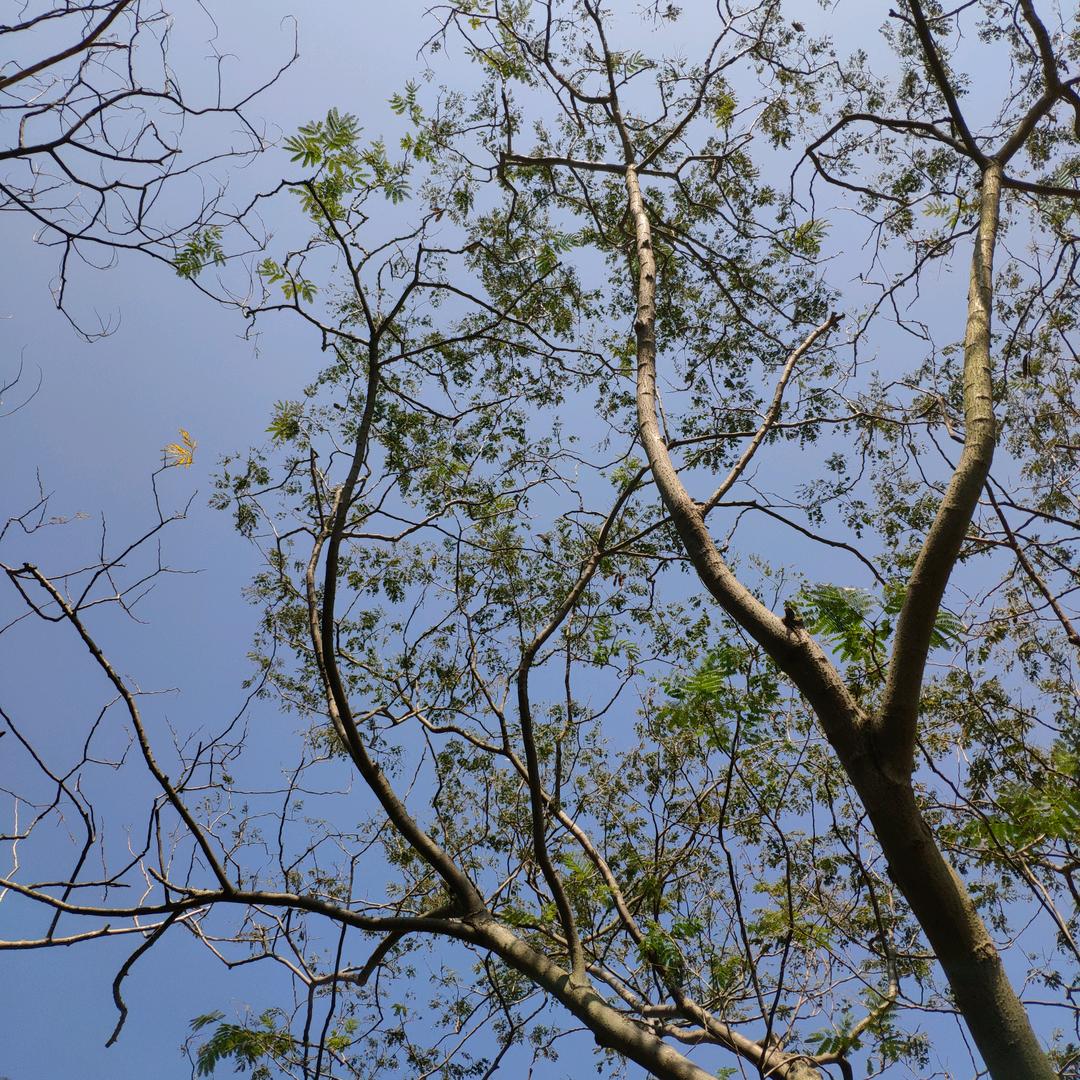 最后一支烟