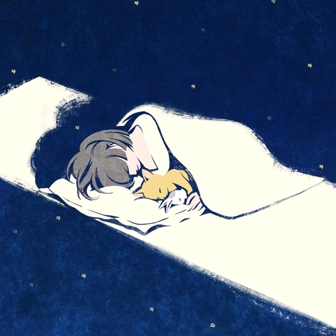 风禾尽起