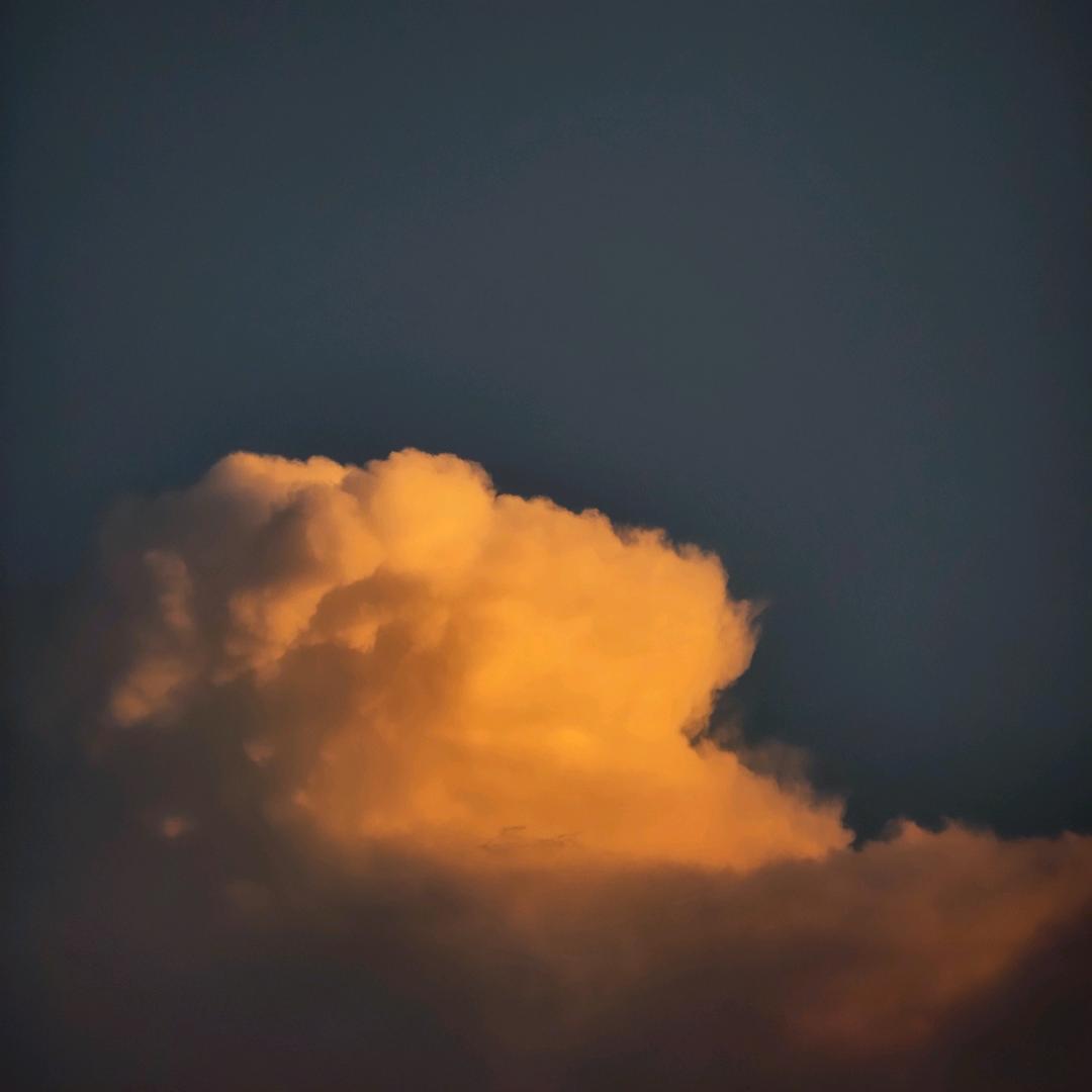 识少虡者♞☜✔