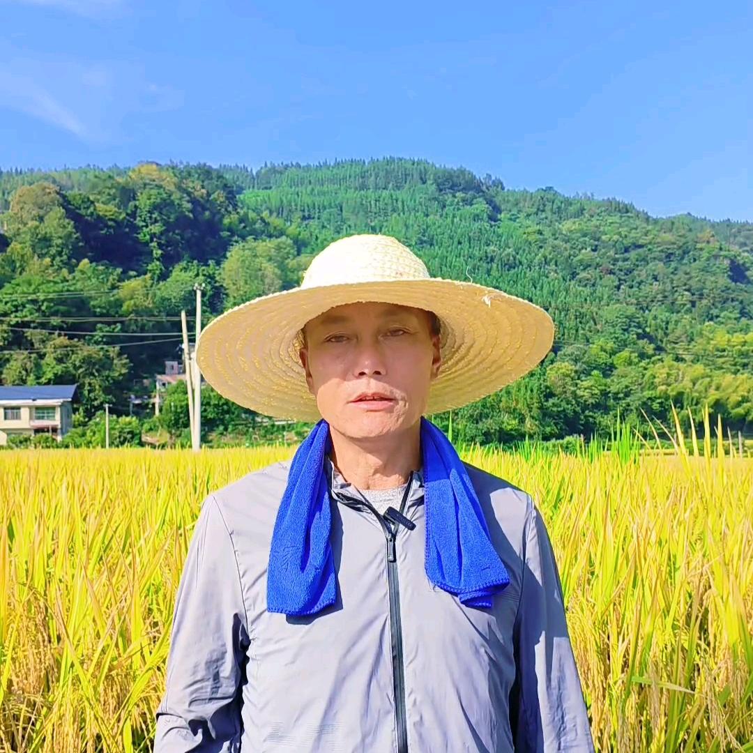 村书记老蒋