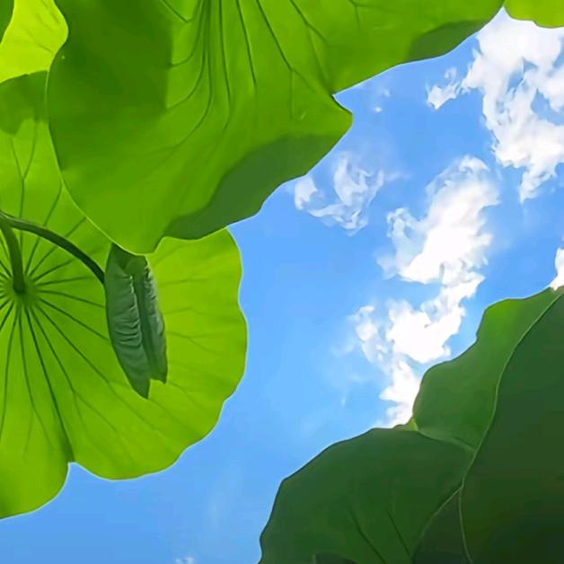 ღ᭄忕꧔ꦿ᭄佪ღ᭄