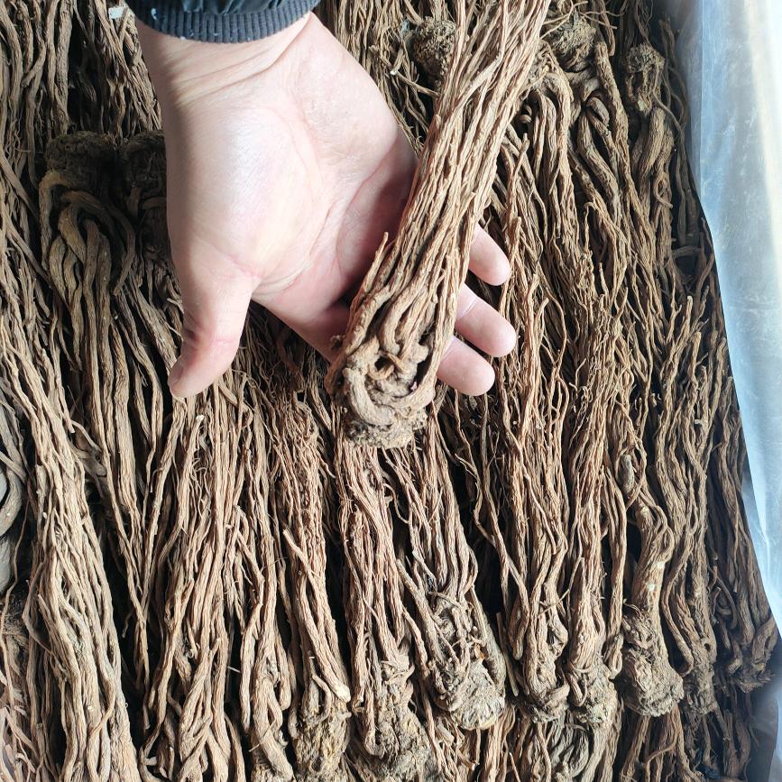 甘肃紫峰中药材