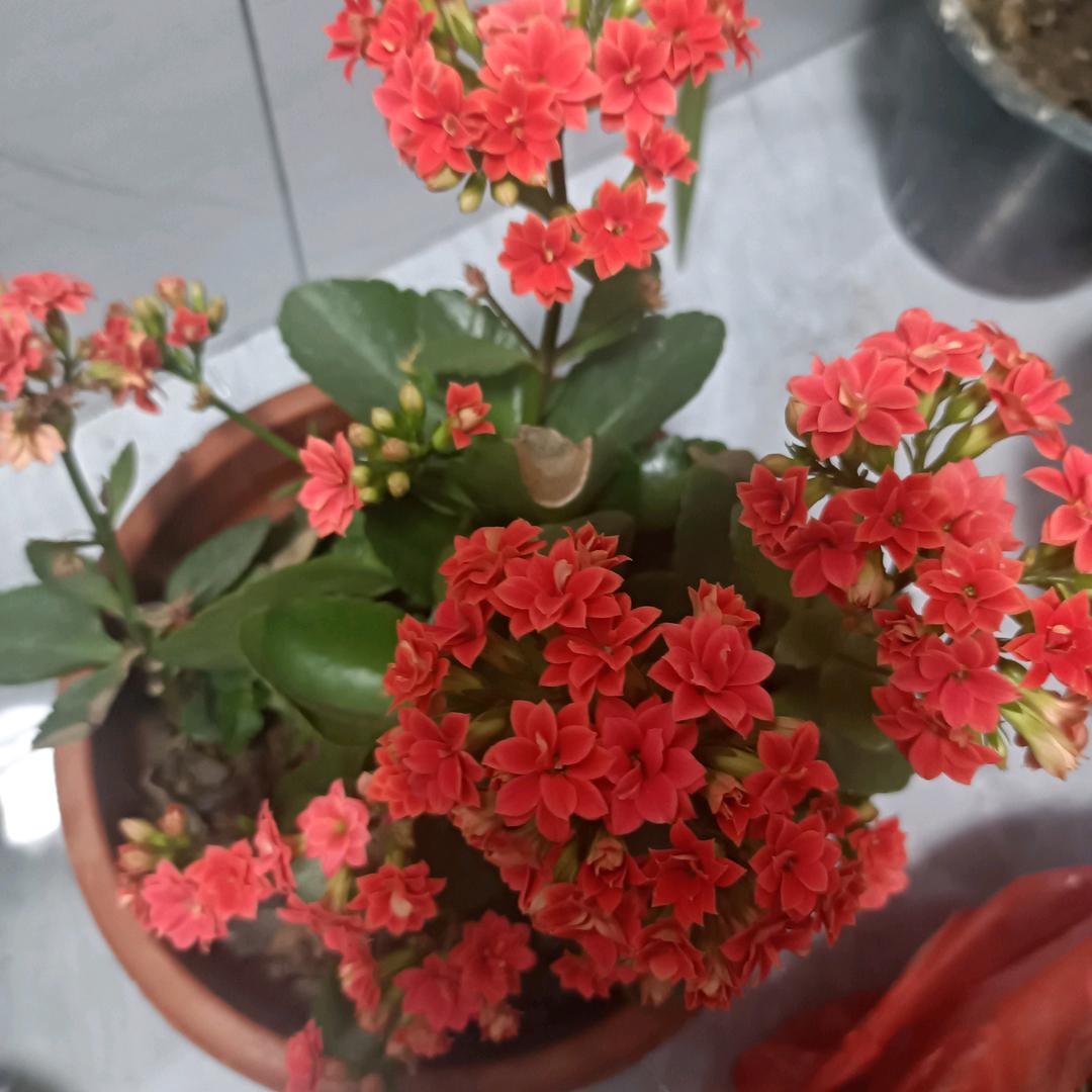 🌈🌈开心就好🌈🌈