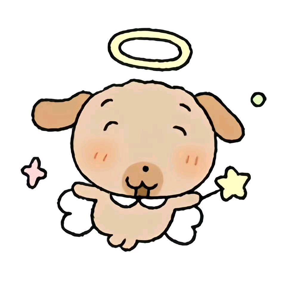 钢丝球