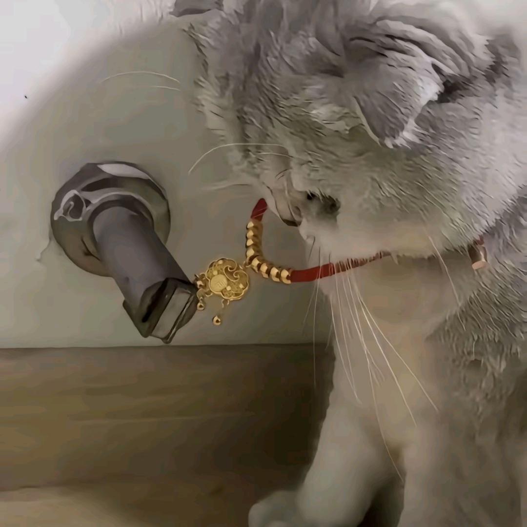 爱玩的啊楠