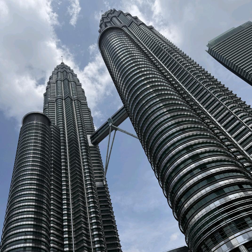 领投狮咨询管理