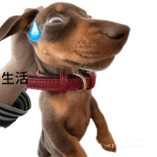单眼皮 mmc