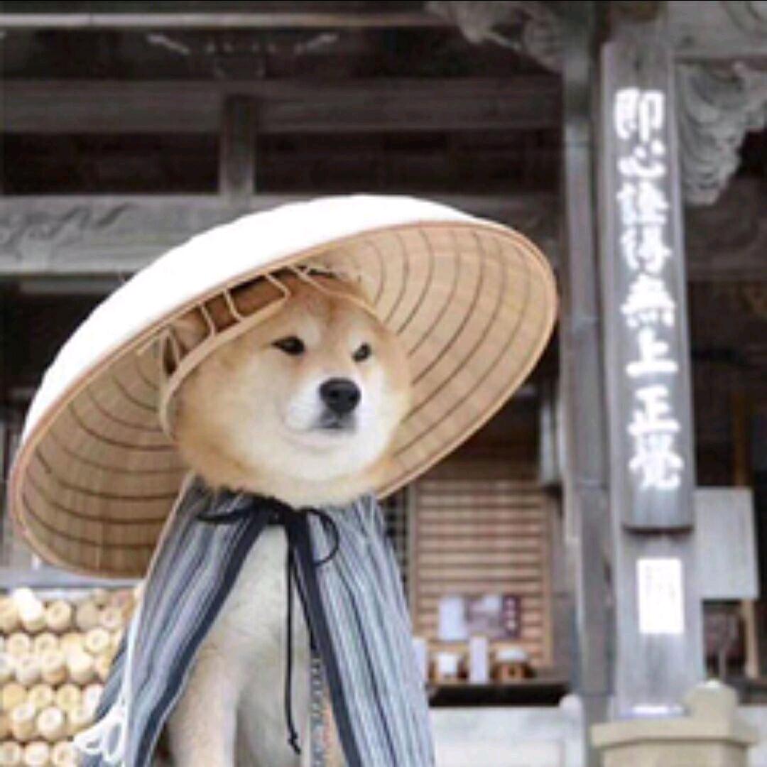 示羊