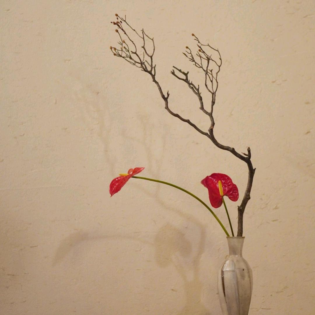 旭日东来（云南基地直邮，可给花店供货）