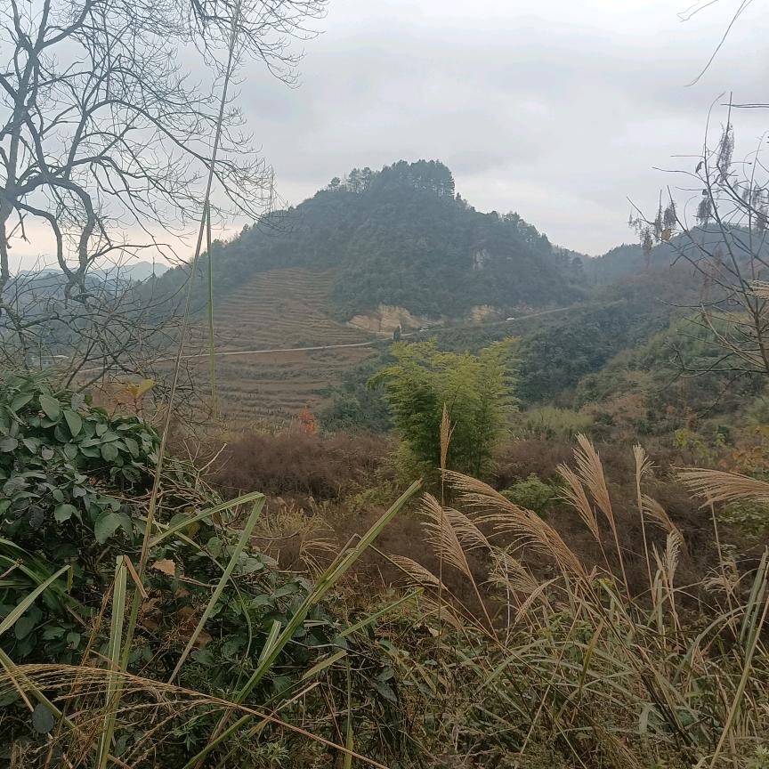 余吉会
