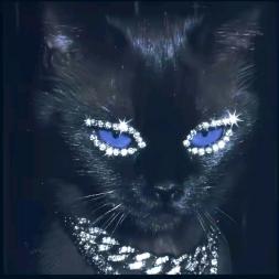 冬眠.🦋(上学版)