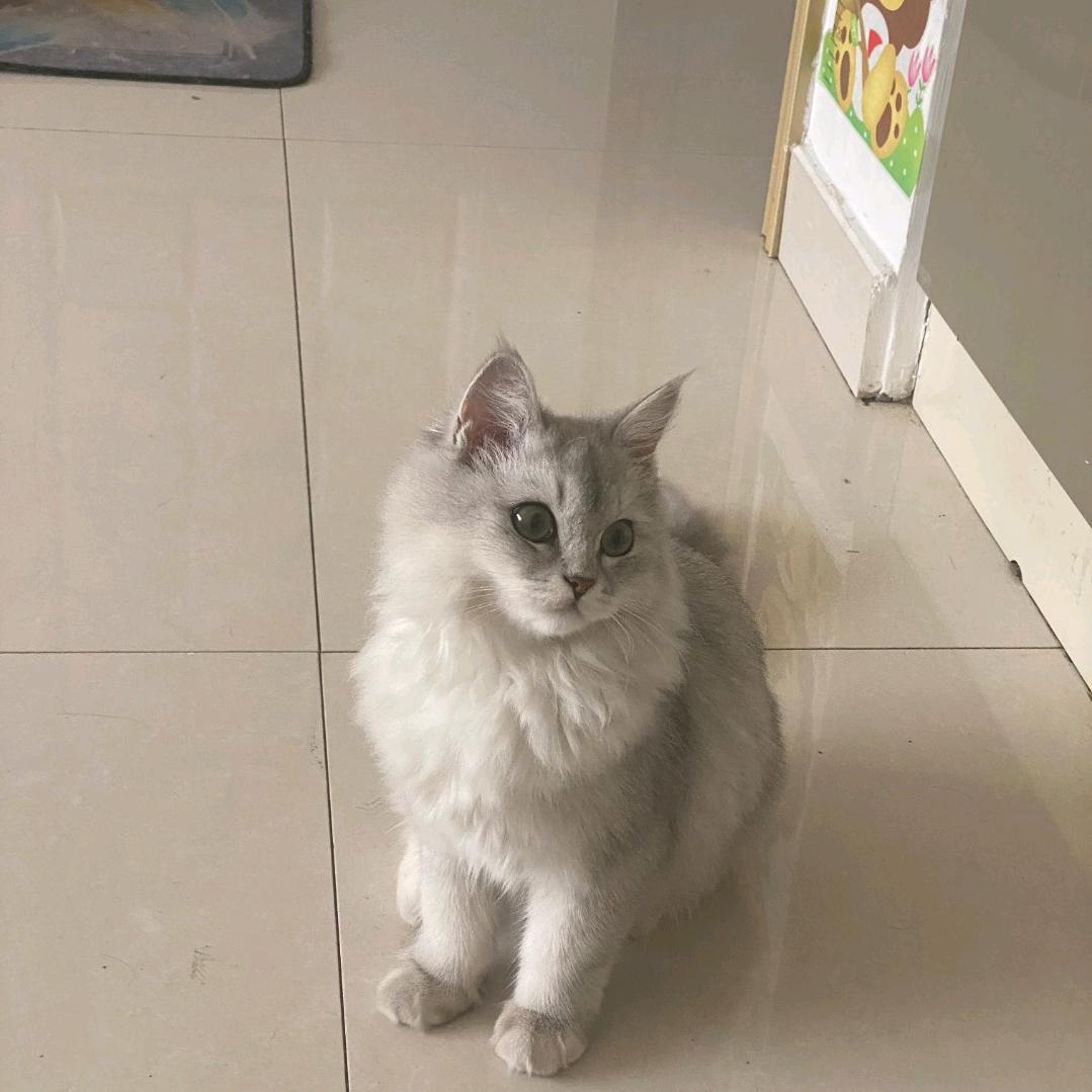 ☞逗比☜
