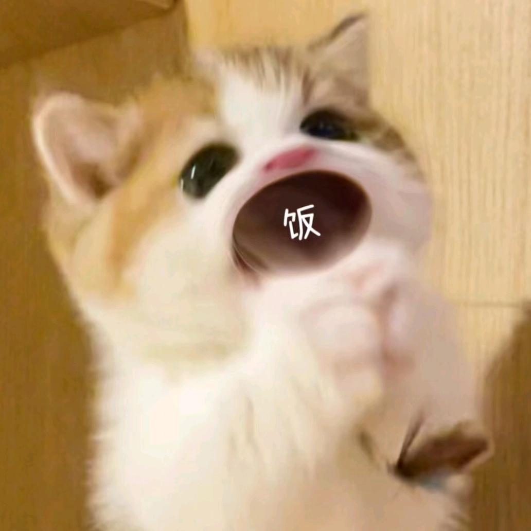 Tsuki
