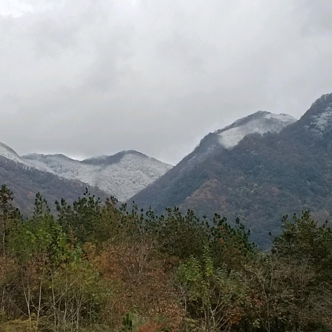 身在曹营👉❤️心在汉