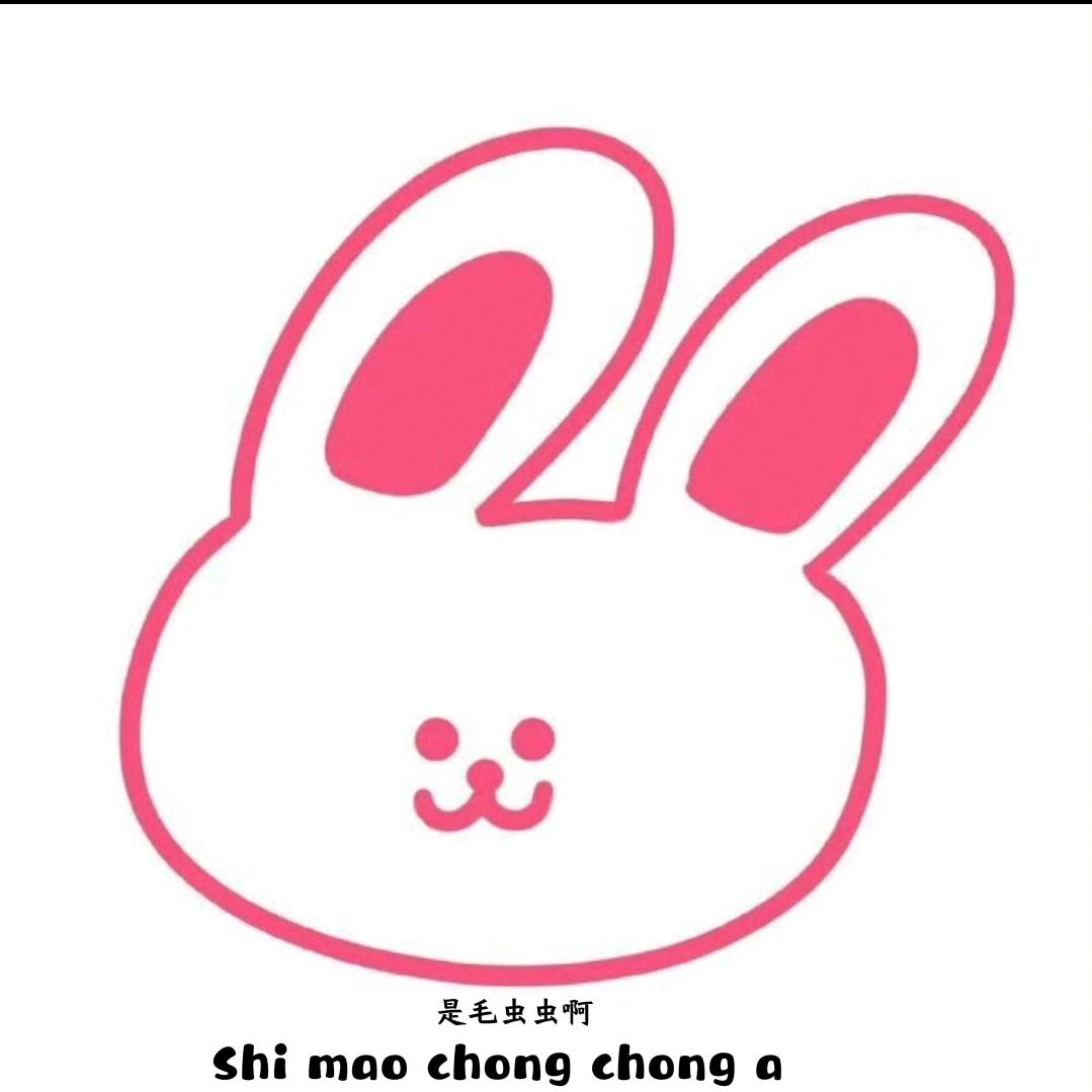 是毛虫虫啊